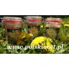 Syrop z mniszka lekarskiego 500 ml