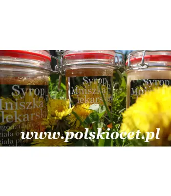 Syrop z mniszka lekarskiego 0,5 l