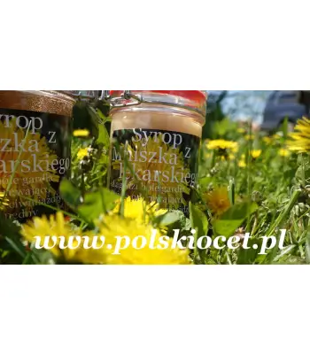 Syrop z mniszka lekarskiego pół litrowy słoik
